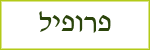 אור תכנות אתרים